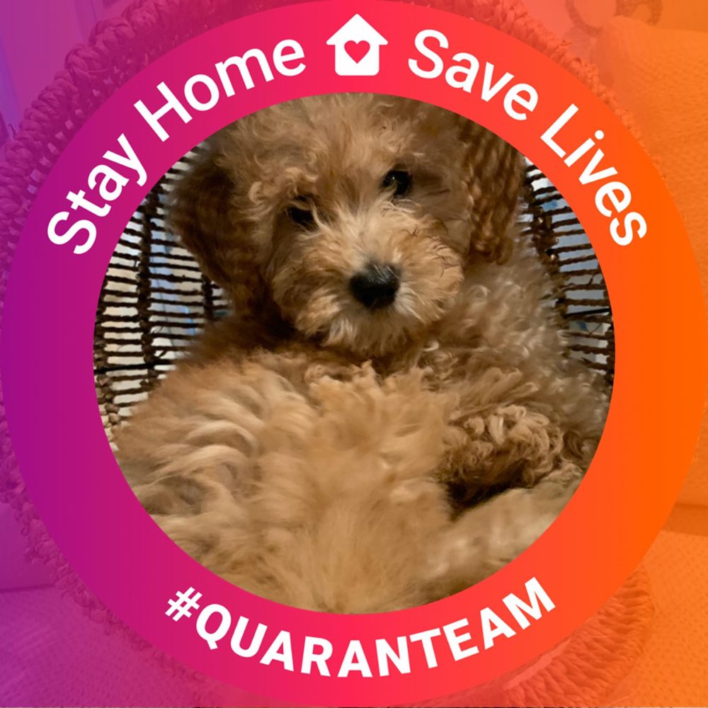 Meet your Posher, Angela